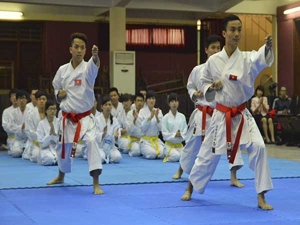 Phân tích các cấp, bậc đai cơ bản trong Karate