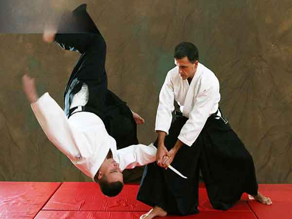 Môn võ thuật Aikido có mấy đai?