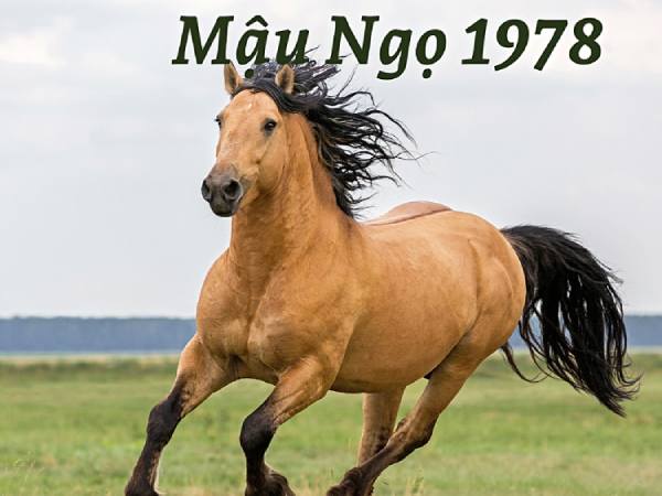 tuổi Mậu Ngọ