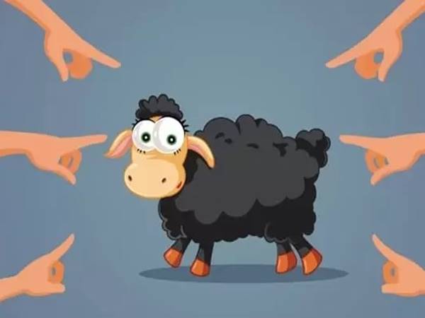 Nhìn thấy con cừu đen là điềm lành hay dữ? Giải mã ngay