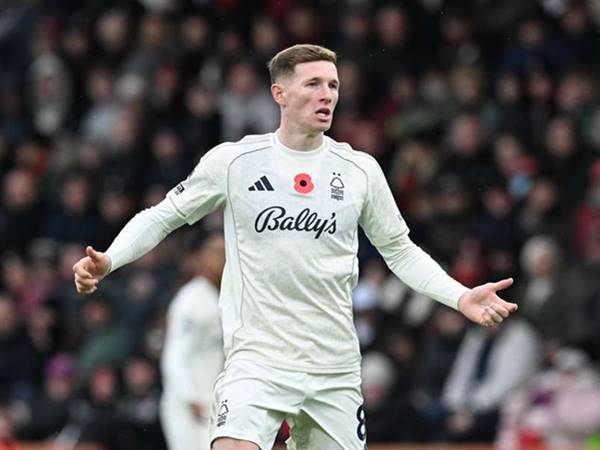 Thành tích nổi bật của Elliot Anderson