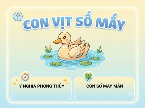 Giải mã ý nghĩa con vịt số mấy, số bao nhiêu chuẩn nhất?